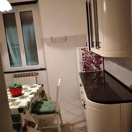 Casarinolaurinohillsea *
