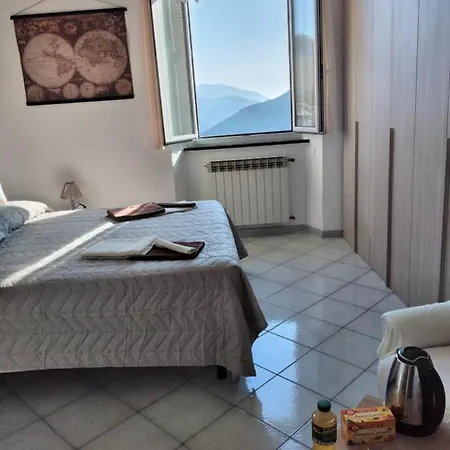 Casarinolaurinohillsea *